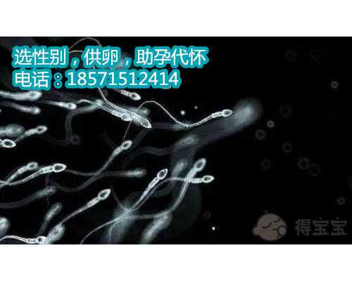 重庆供卵哪里好两年未孕，上海长海医院第二代试管婴儿圆我梦！