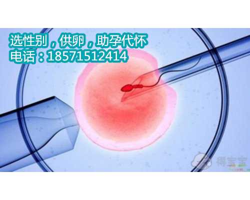 重庆高龄供卵代孕可以吃消炎药吗？