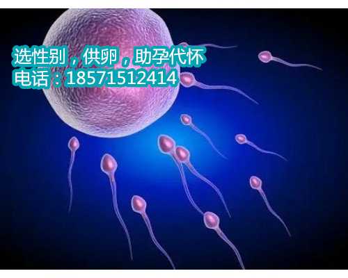 2021年重庆2023代孕动态起名宝典