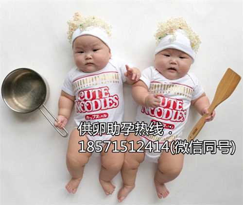 重庆洗精40天吃白公鸡睾丸补肾生男孩，这3种吃法可作了解